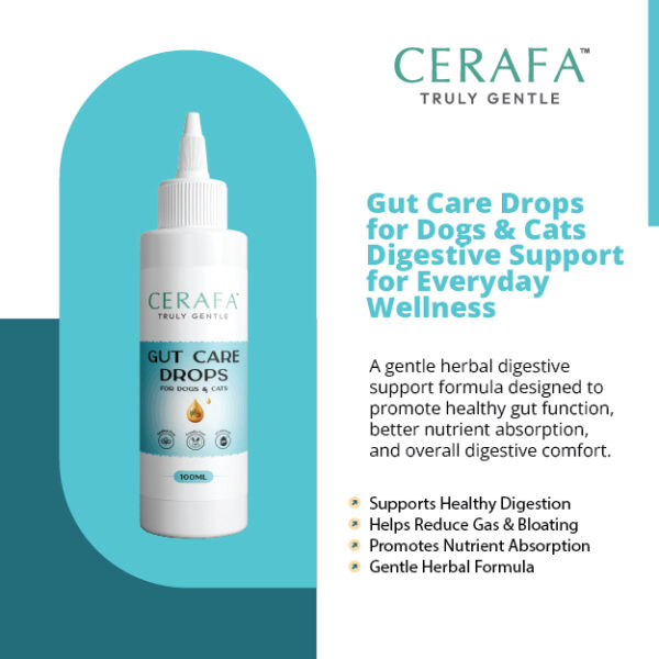 Cerafa Gut Care Drops