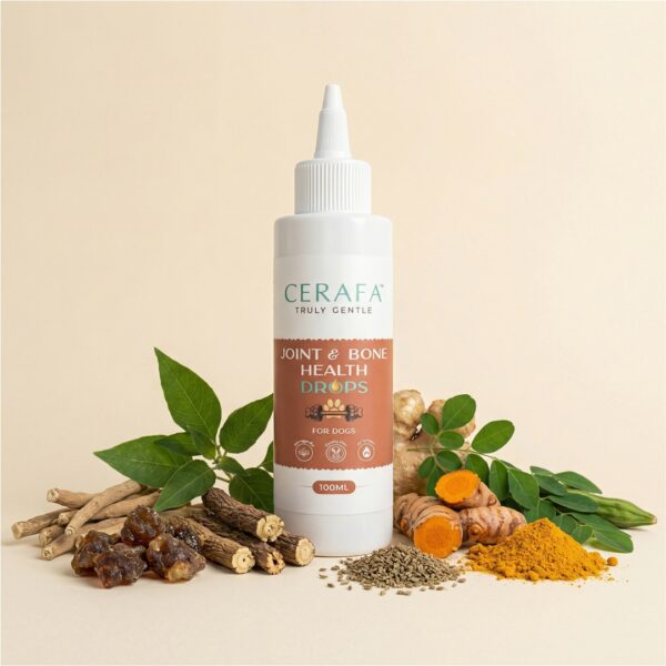 Cerafa Joint & Bone Health Drops