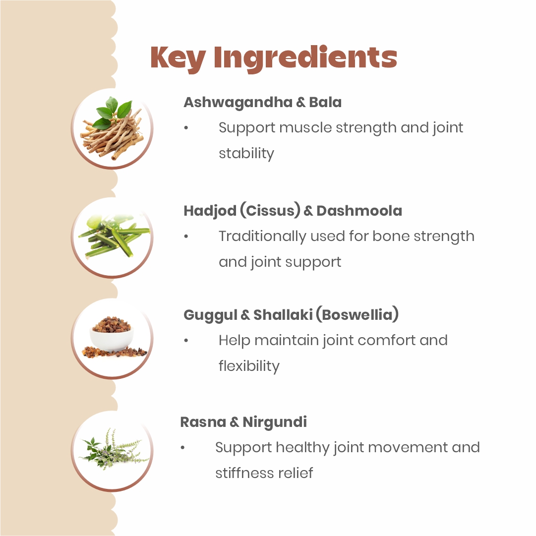 Cerafa Joint & Bone Health Drops - Image 2