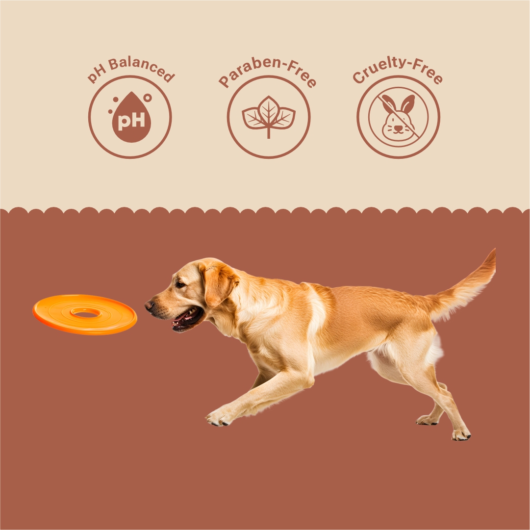 Cerafa Joint & Bone Health Drops - Image 5